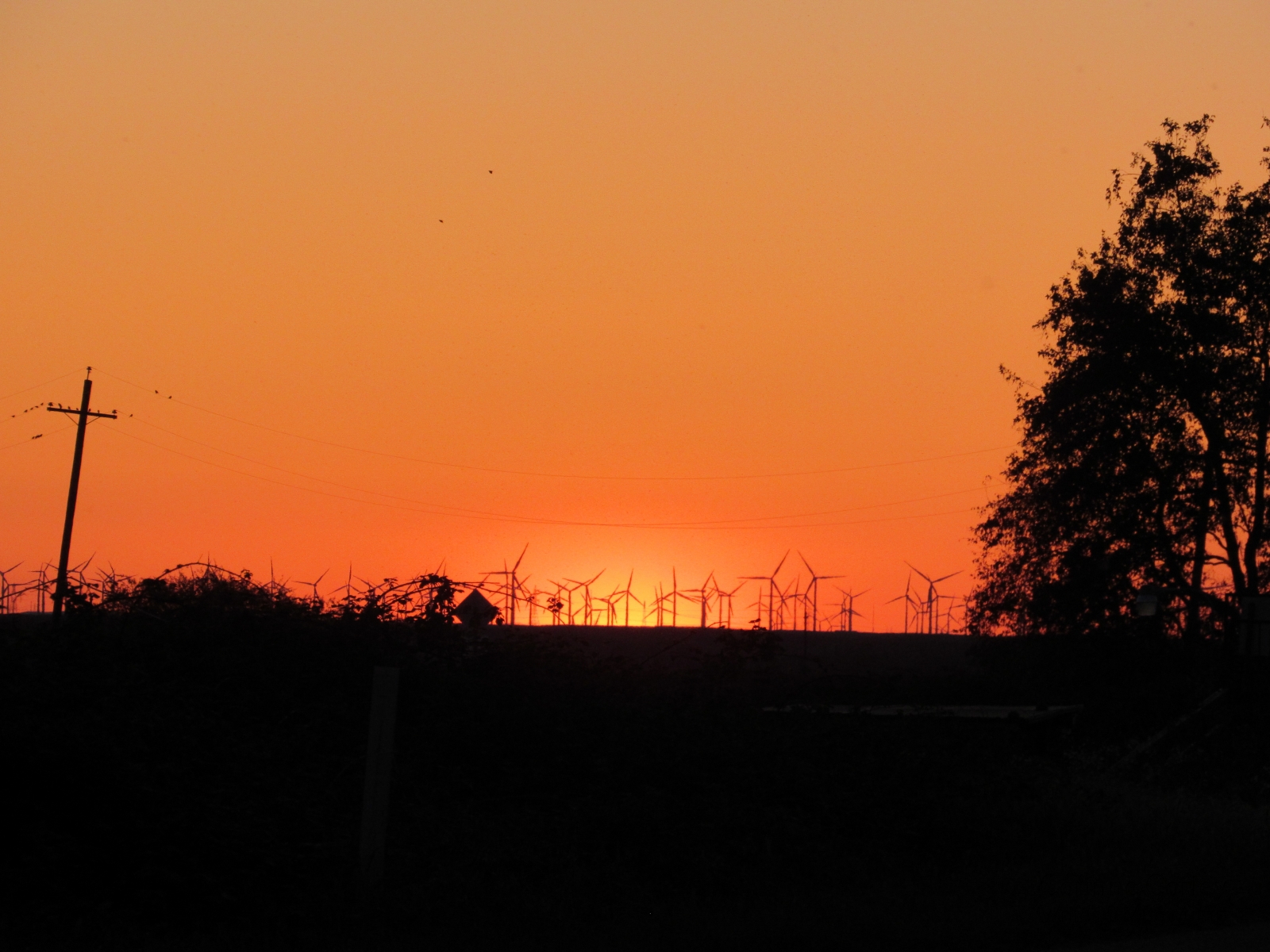 Sunset-from-Brannan-Island-Road
