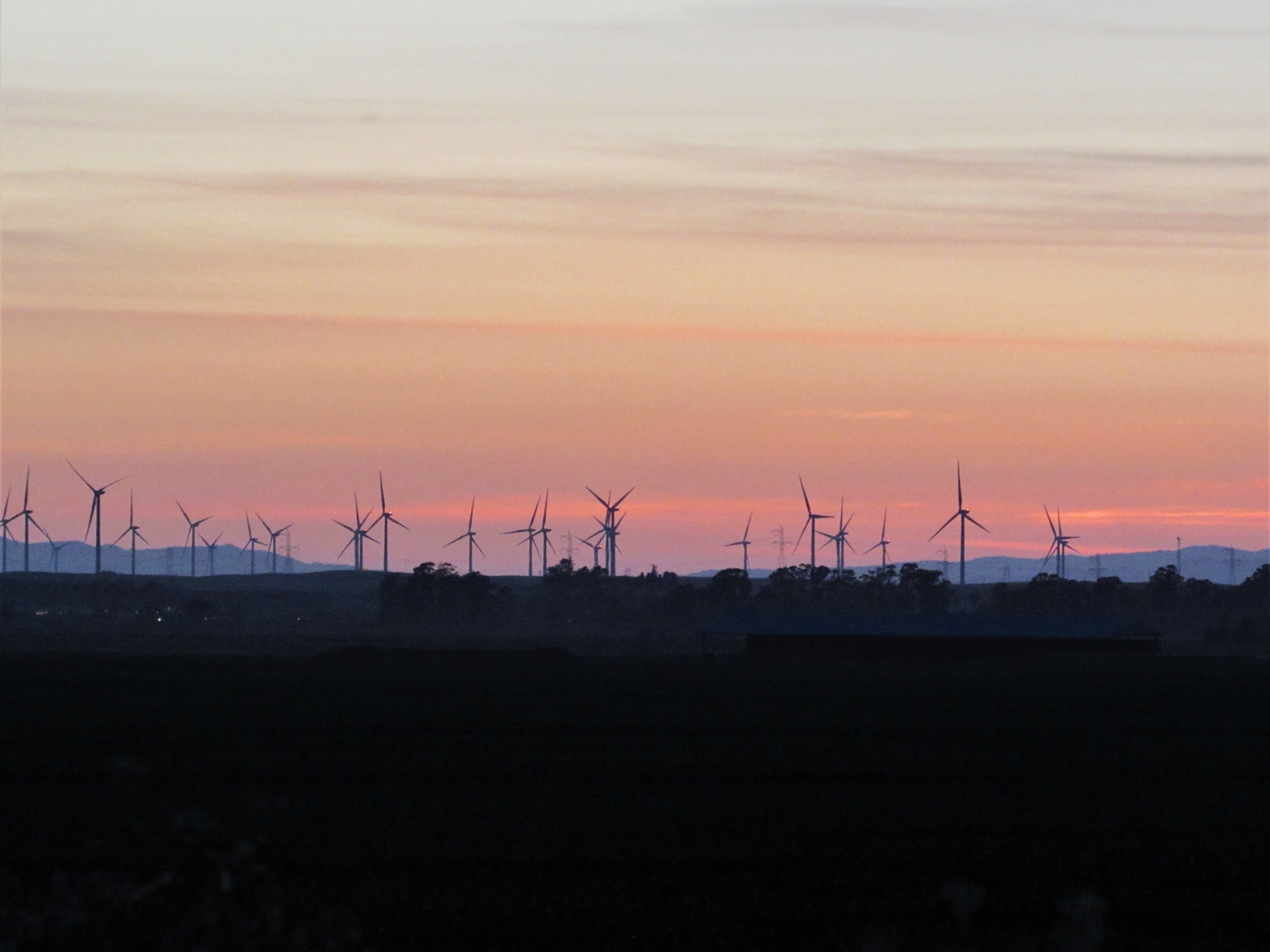 Windmills-at-sunset