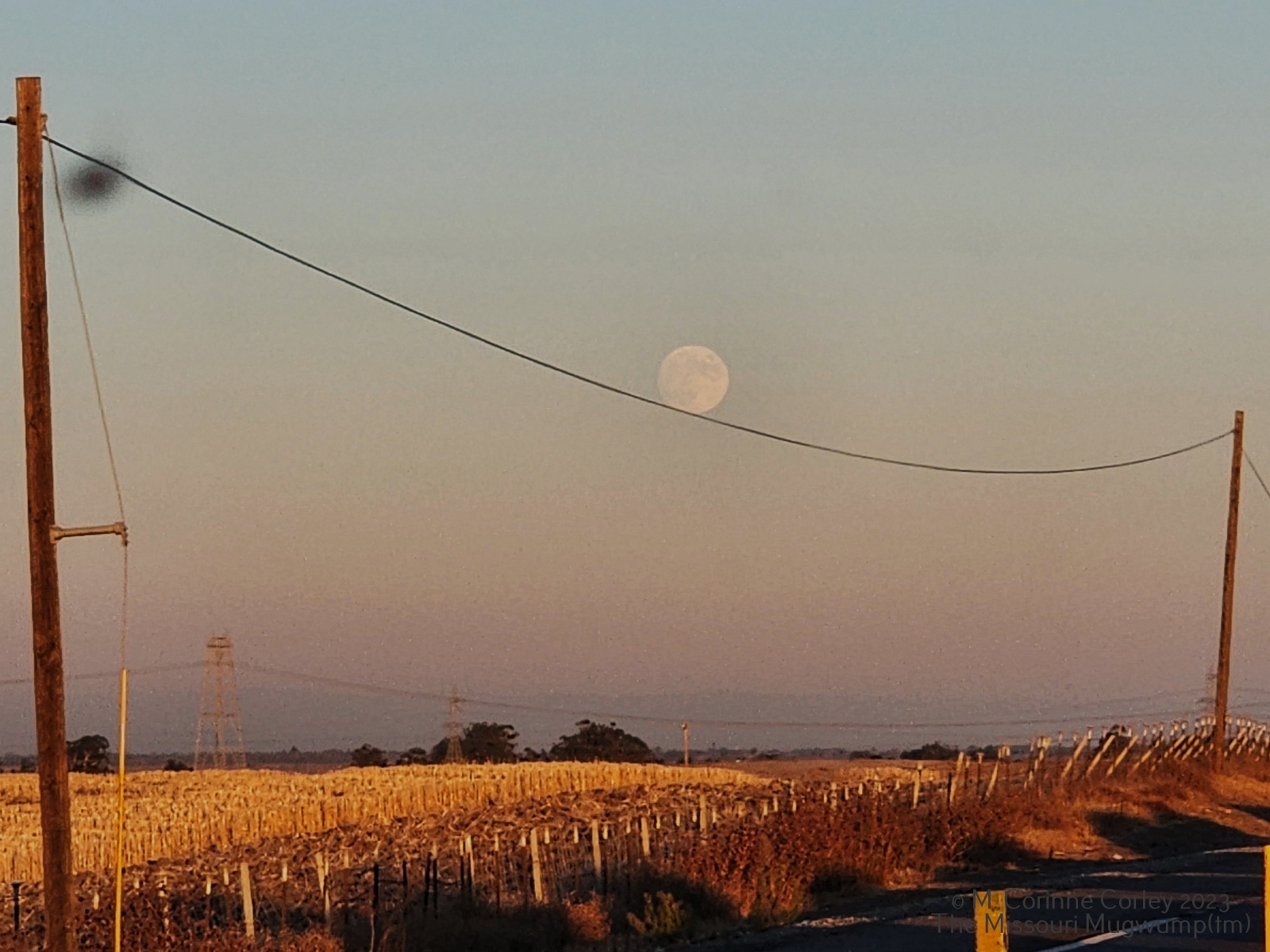 Moon-on-wire