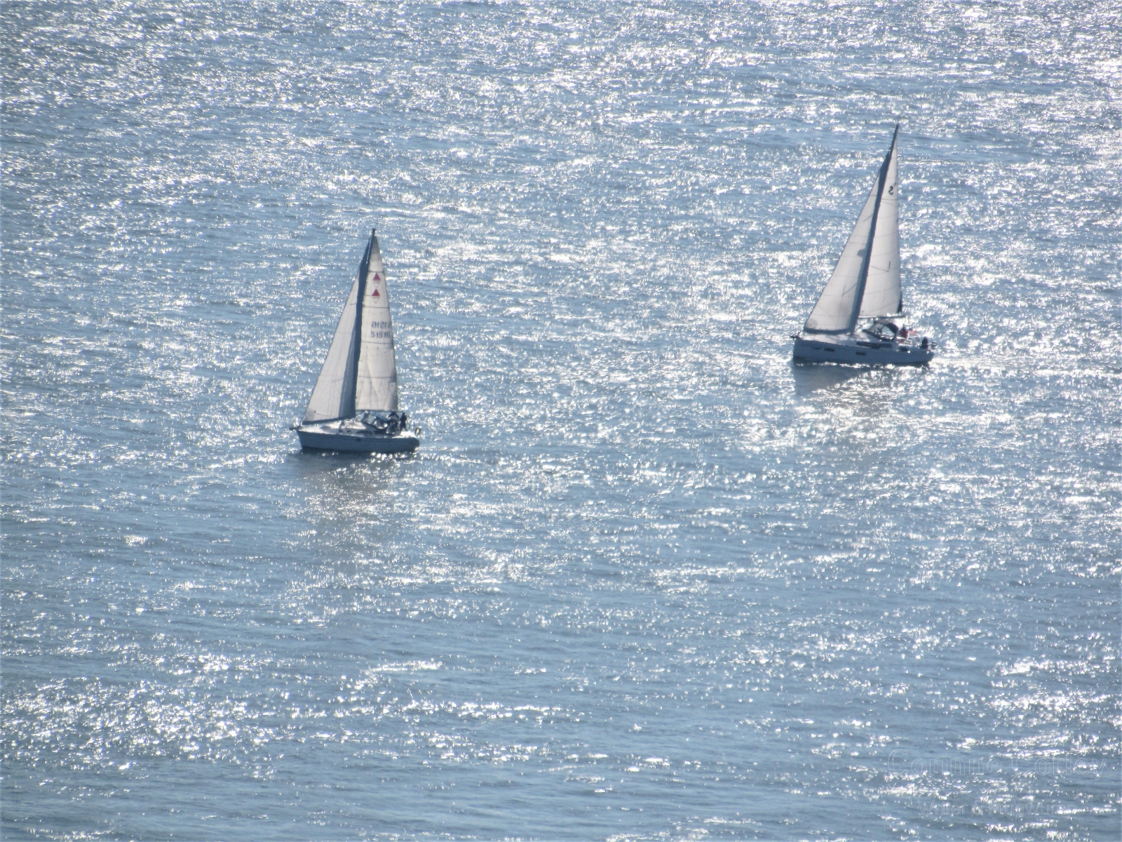 Two at sea