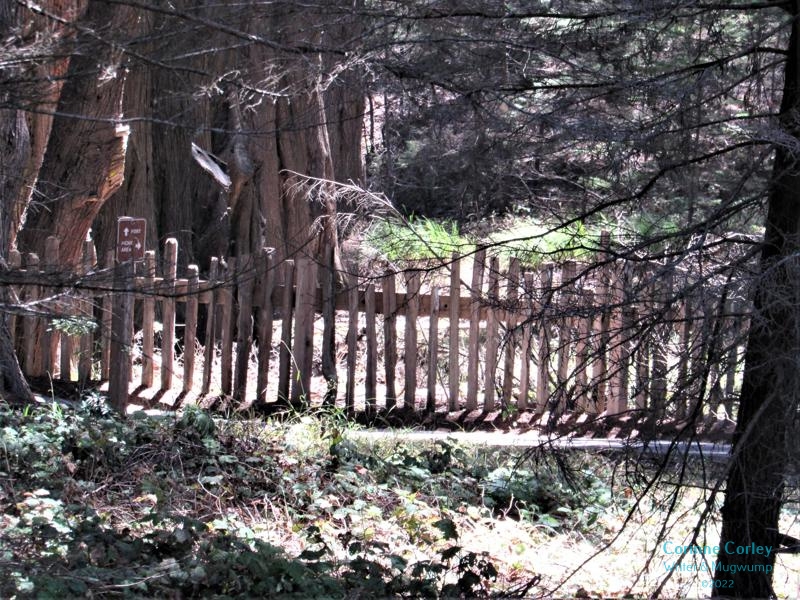The-fence-at-Ft-Ross-800x600