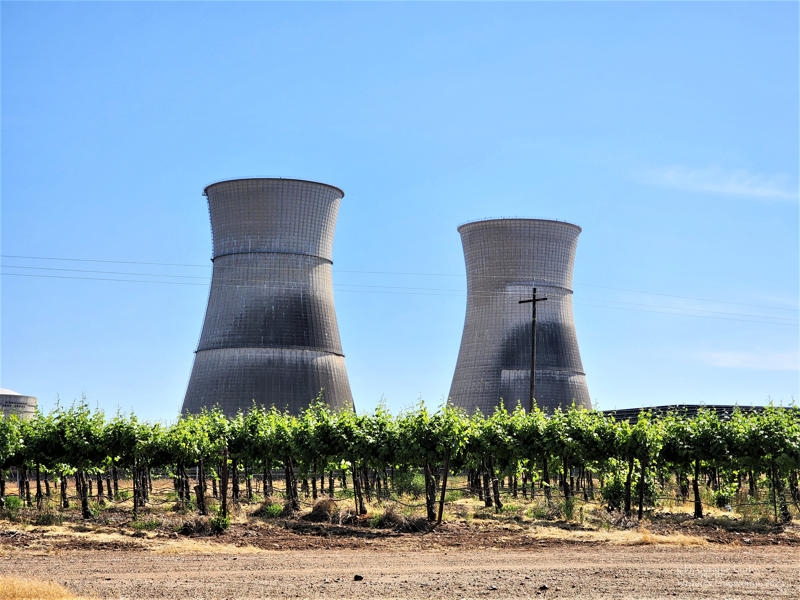 Nuclear-vines-2023-800x600