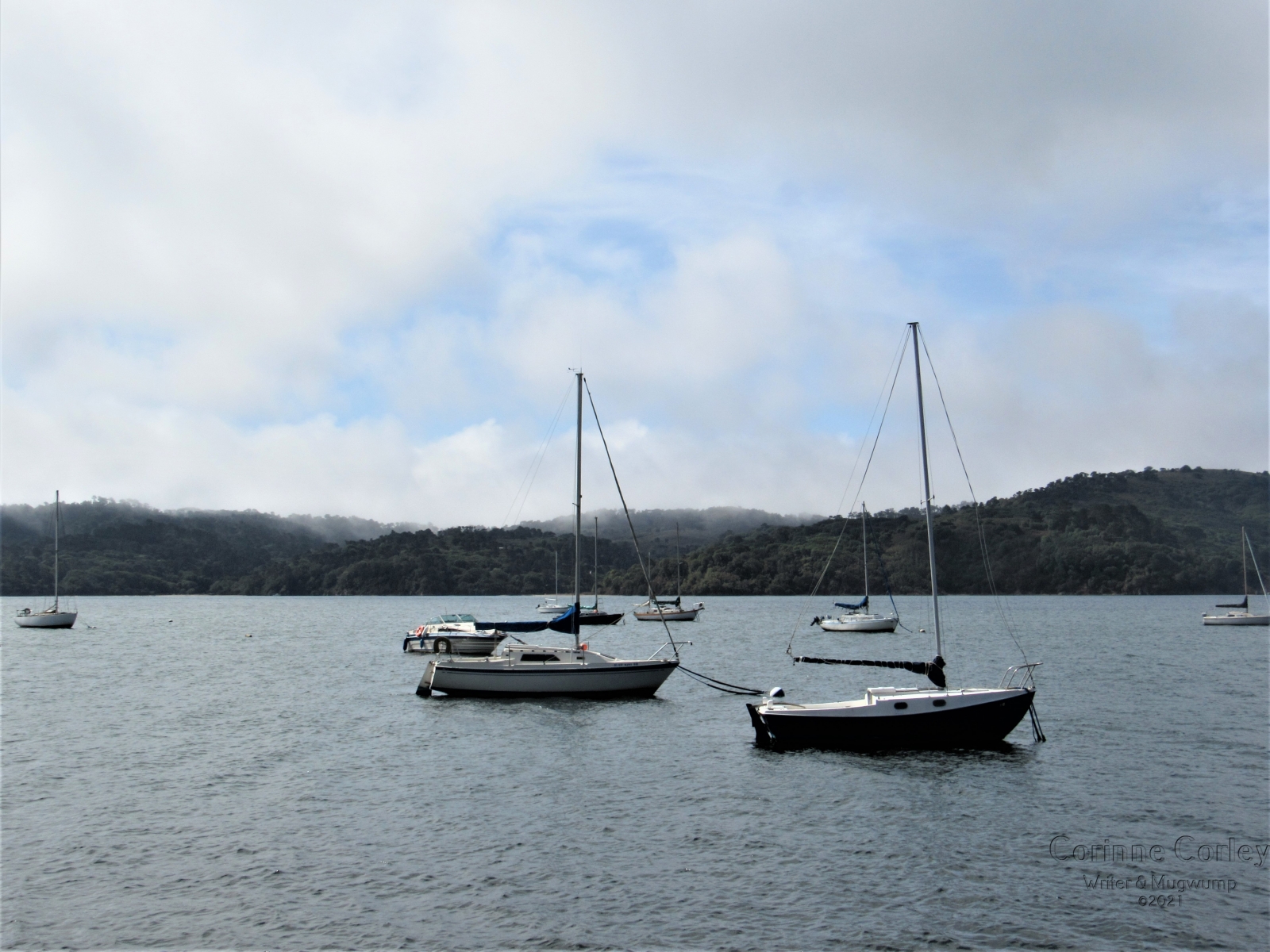 Bodega-Bay-boats