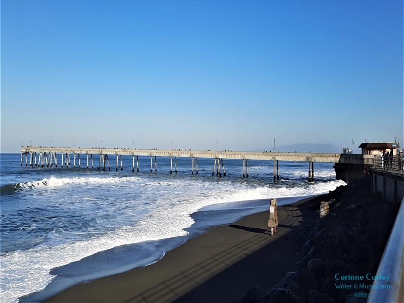 Pacific-Pier-In-All-Her-Glory-800x600