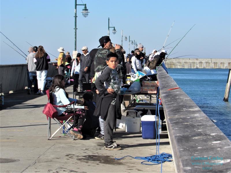 People-of-the-pier-4-800x600