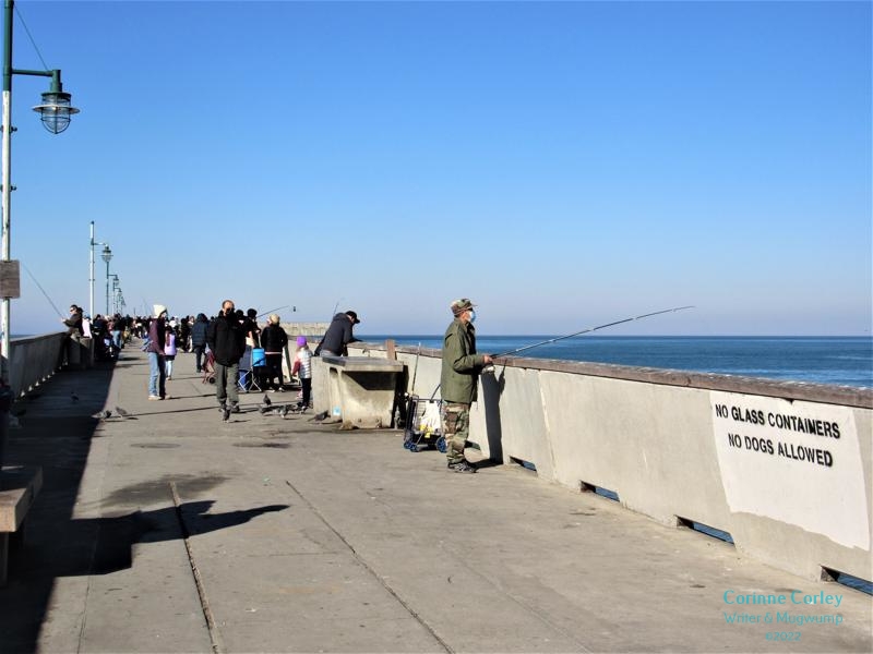 People-of-the-pier-91-800x600