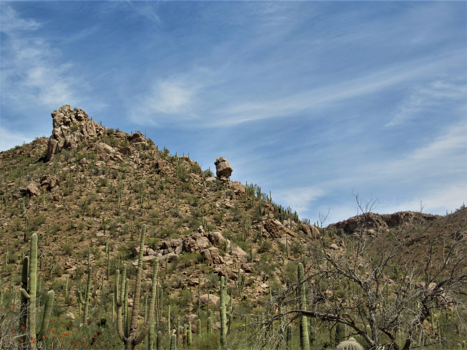 Saguaro-West-Rock-Formation-3