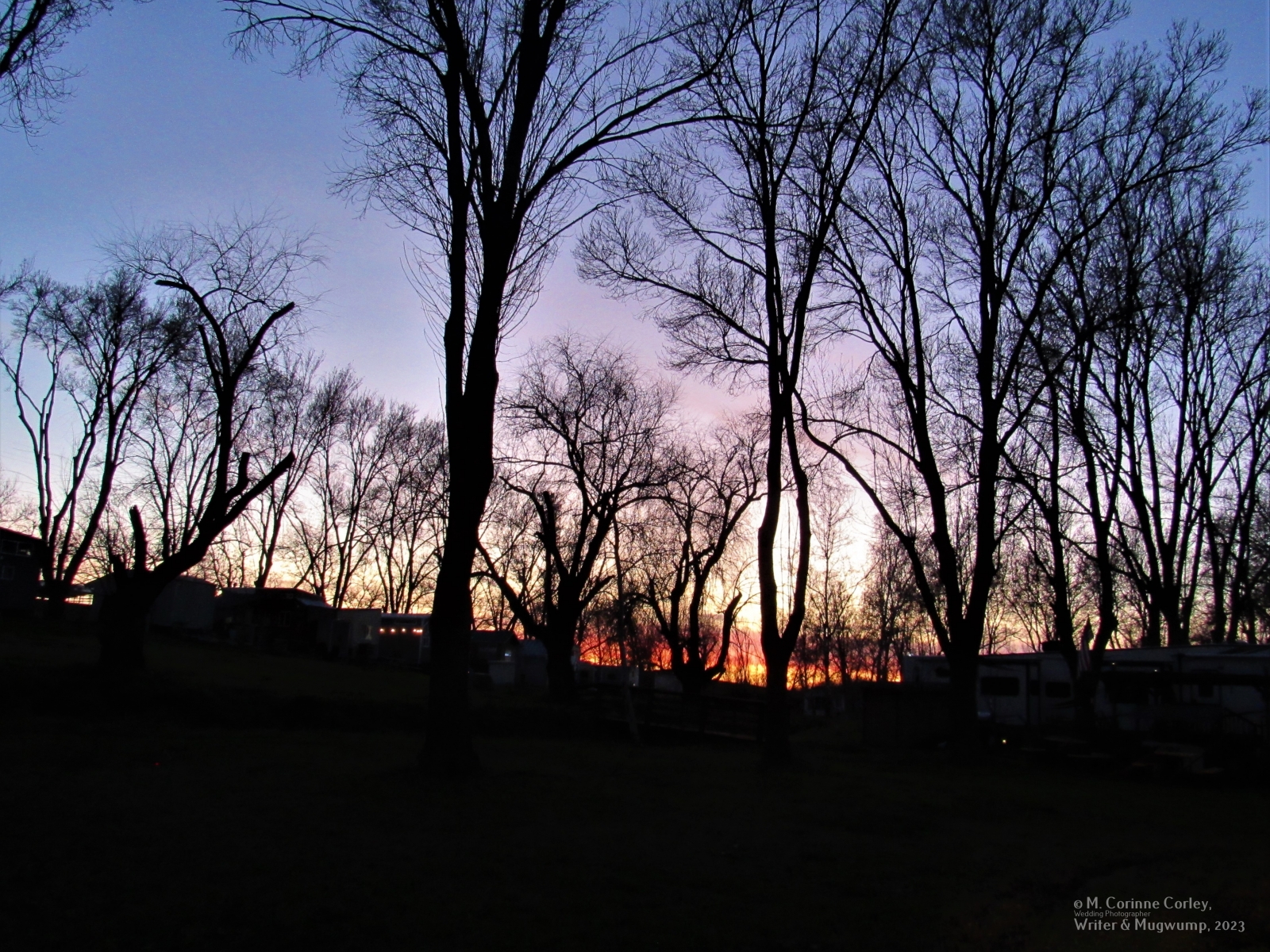 Sunset-beyond-the-park-01192023-3