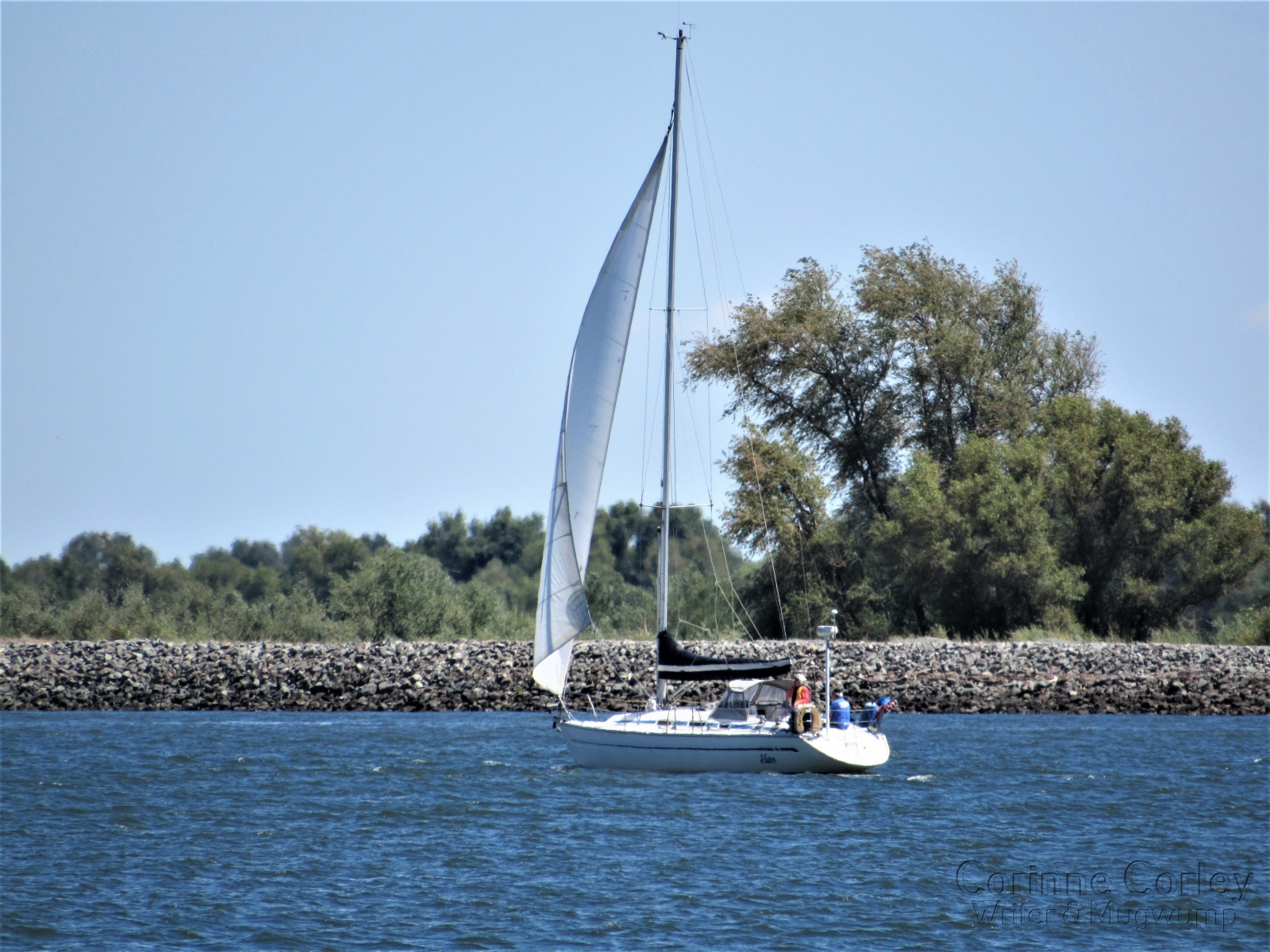 Sailboat-on-the-San-Joaquin